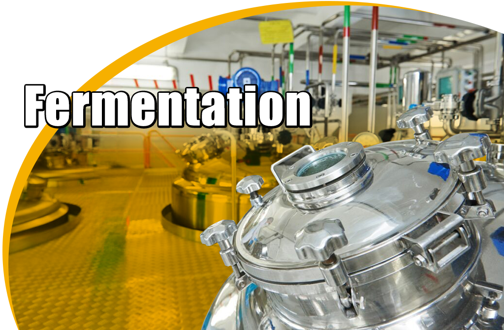 Kotech air compressor for pharmaceutical Fermentation